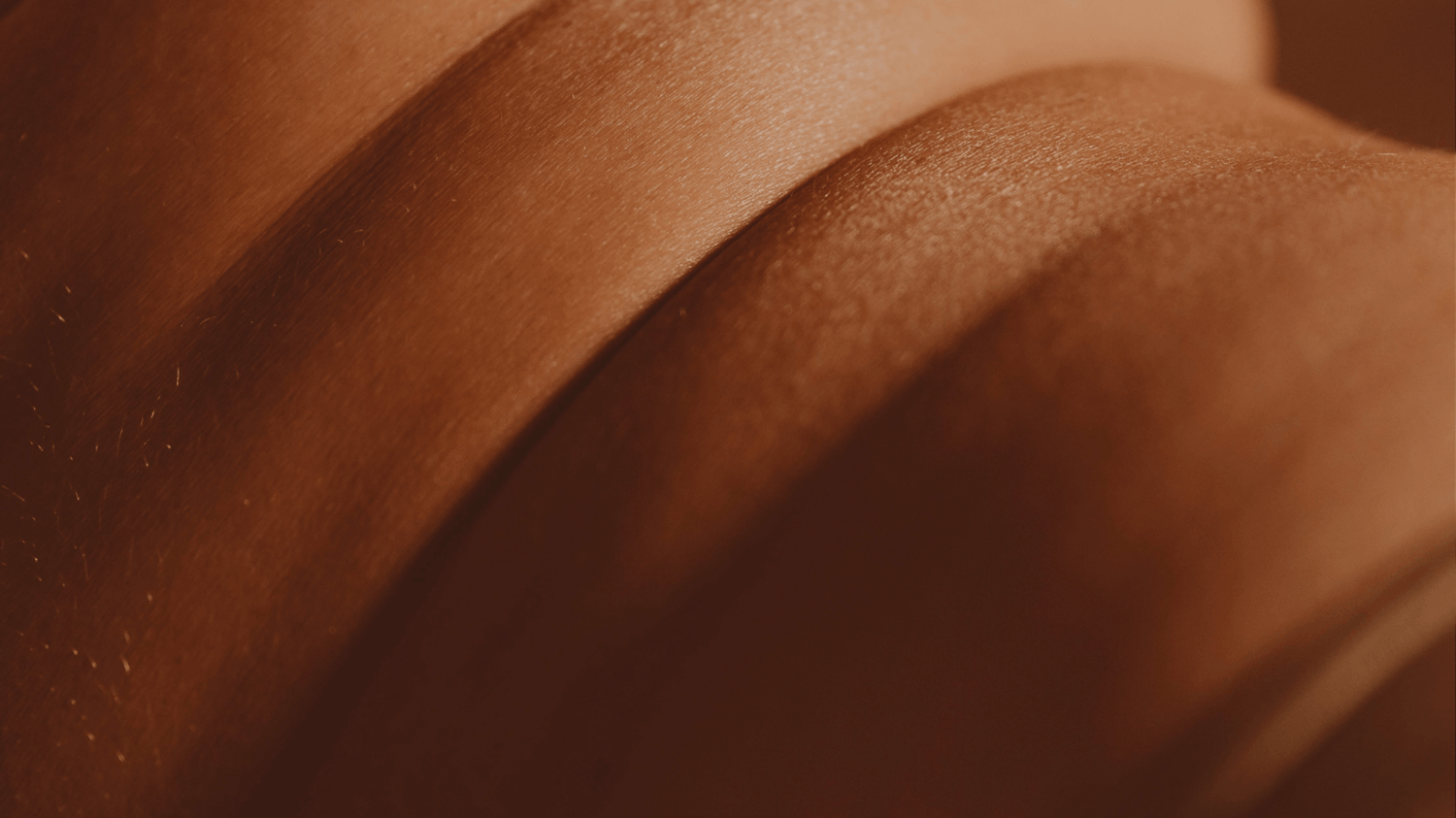 Close-up of skin in warm natural light